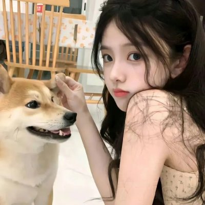 火鸟的沼泽